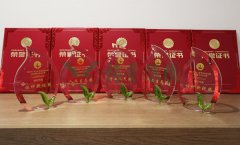 “MG冰球游戏杯”浙江省节地生态安葬设计作品奖