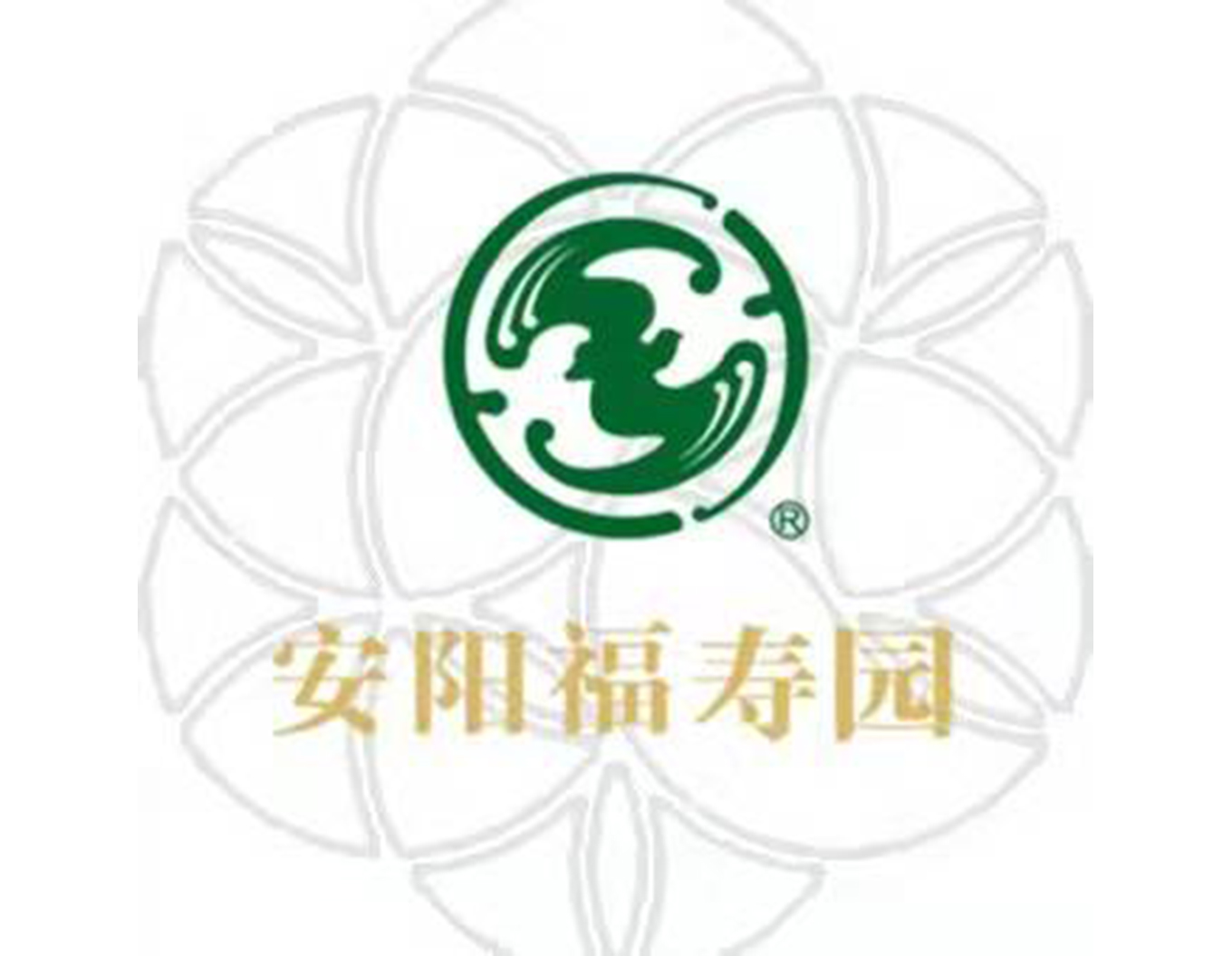 冰球突破-冰球电游豪华版_MG冰球游戏