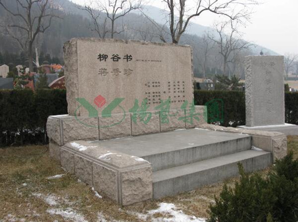 冰球突破-冰球电游豪华版_MG冰球游戏