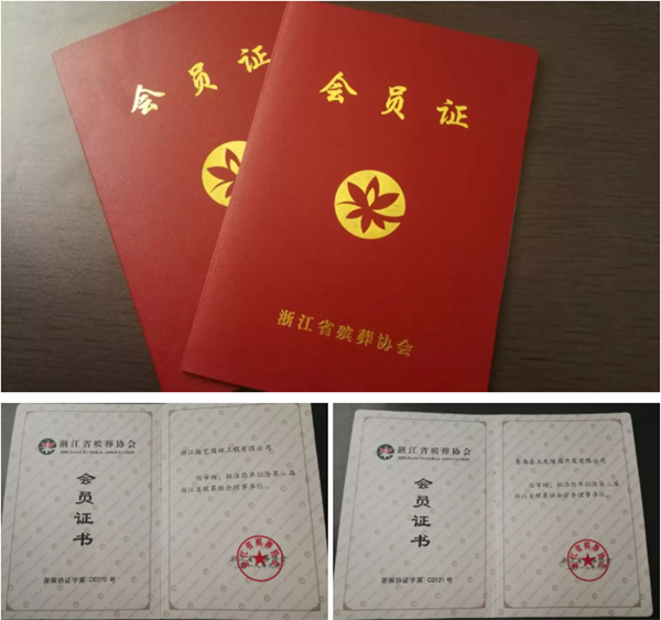 冰球突破-冰球电游豪华版_MG冰球游戏