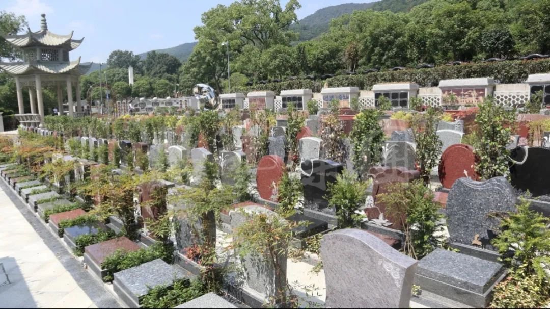 冰球突破-冰球电游豪华版_MG冰球游戏