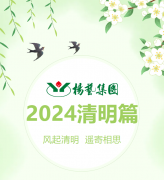 风起清明 遥寄相思|MG冰球游戏集团?2024清明篇