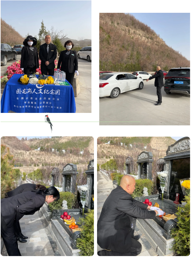 1-240405143ZM44 冰球突破-冰球电游豪华版_MG冰球游戏