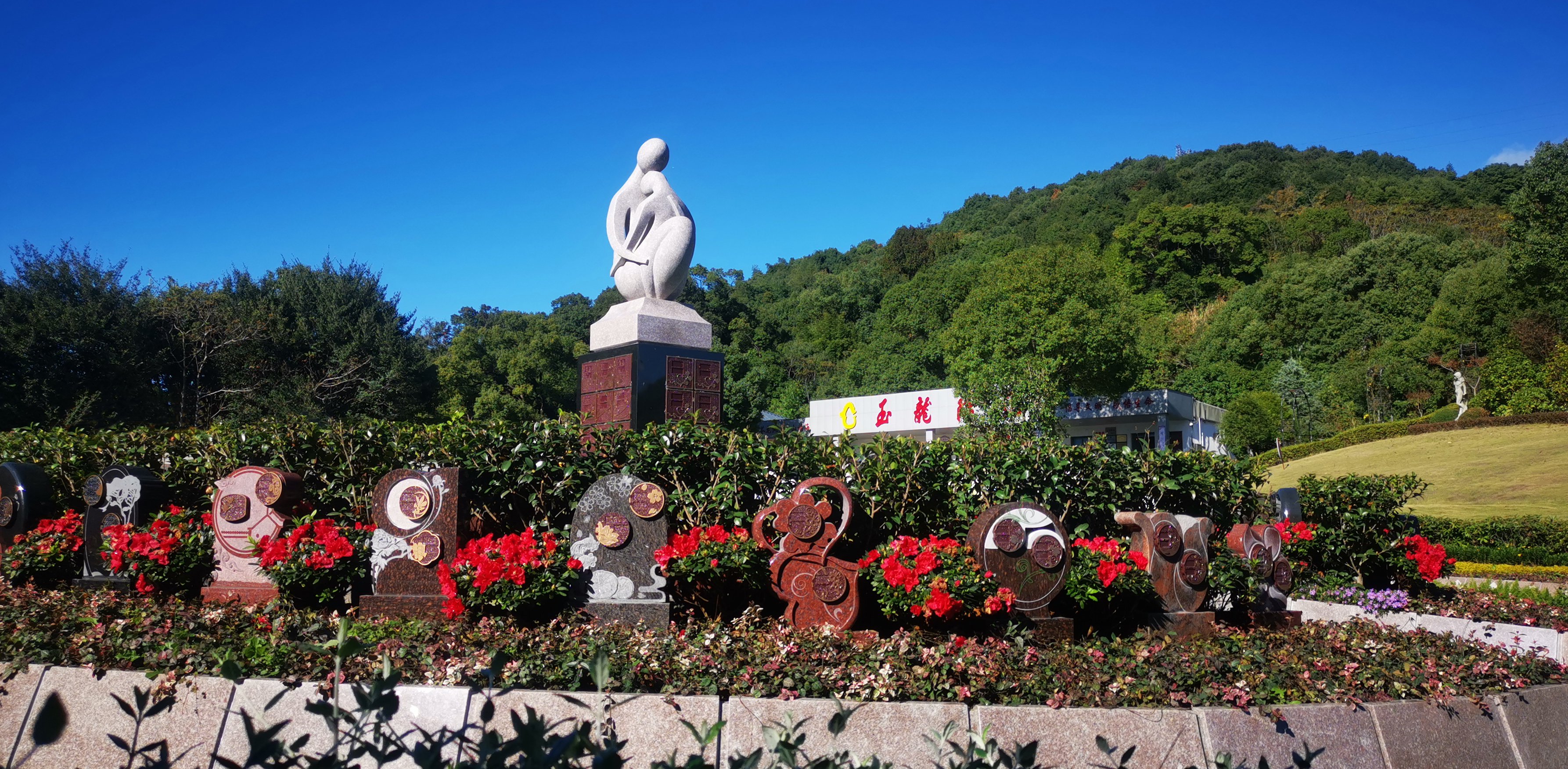 未来，生态葬或将成为主流