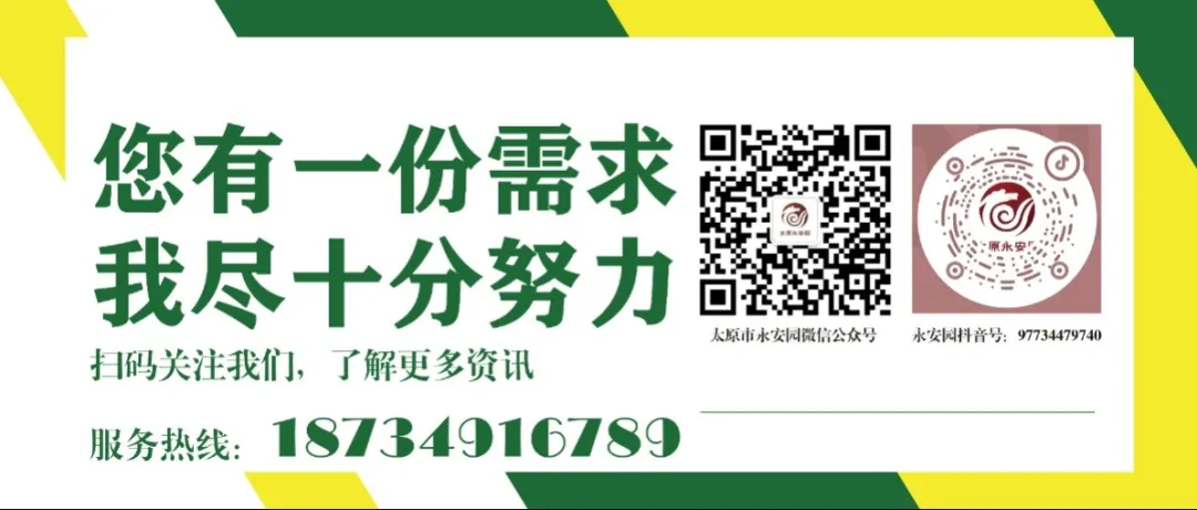 冰球突破-冰球电游豪华版_MG冰球游戏