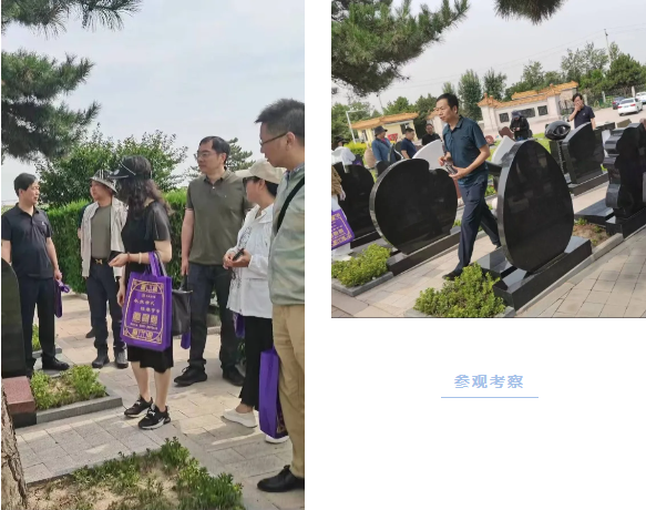 冰球突破-冰球电游豪华版_MG冰球游戏