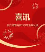 喜讯 | 浙江MG冰球游戏再获ISO体系双认证
