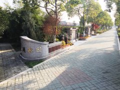 城市最后一平米：生态葬，是与自然的和解？还是无奈的选择？