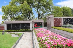 归于自然，泽被后世：解读现代生态葬及其创新趋势