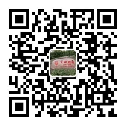 冰球突破-冰球电游豪华版_MG冰球游戏