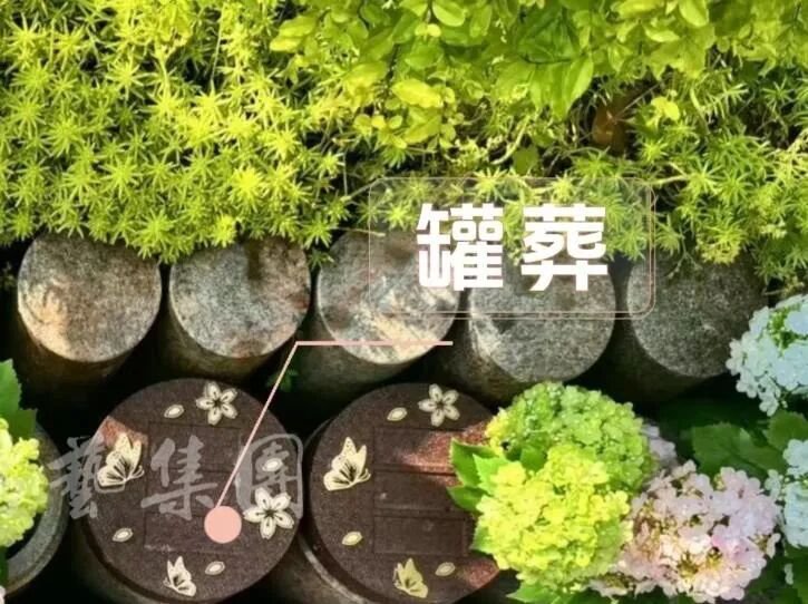 冰球突破-冰球电游豪华版_MG冰球游戏